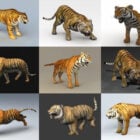 Gerçekçi ve Yüksek Kaliteli Tarzda Ücretsiz İndirilebilen 10 Kaplan Hayvan 3D Modeli