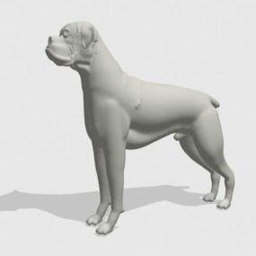 Model 3d Pose Berdiri Anjing Boxer