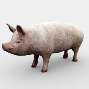 Porc Cochon modèle 3D