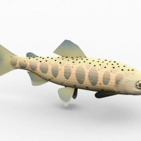Redhead Fish Animal 3d model