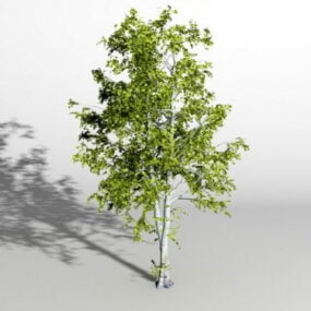 Tree Covered With Snow 3d model