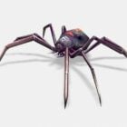 Анимированный черный паук Rigged Низкополигональная