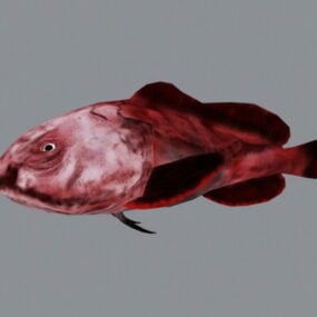 Animated Red Blobfish 3d model