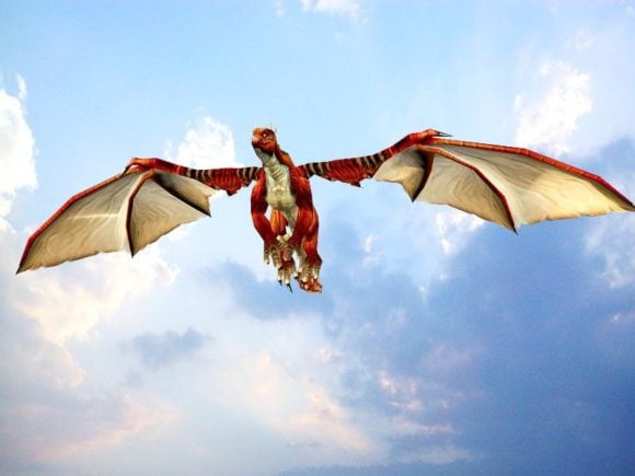Красный дракон, анимированный с помощью установки