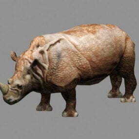 Animeret næsehorn Rigged 3d model