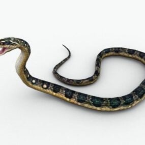 Rattlesnake Animal 3d model