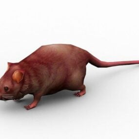 Modello 3d animato di topo selvaggio