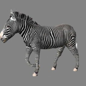 Zebra Rigged Model 3d