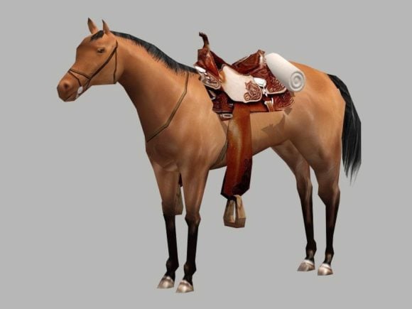 Beautiful Horse With Saddle