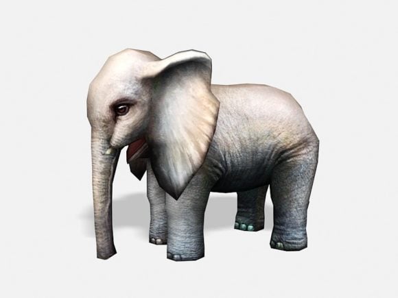 Elefantino a basso numero di poli