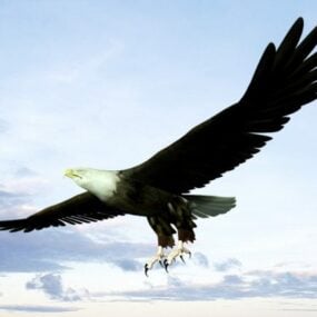 3d модель білоголового орлана, що летить