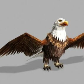 Bald Eagle staand 3D-model