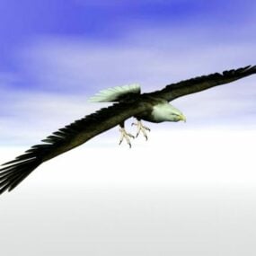 Білоголовий анімований орлан Rigged модель 3d
