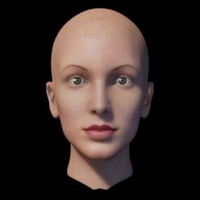 Beautiful Head Of Female 3d model
