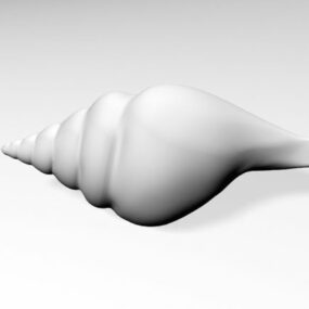 Realistický 3D model mořské mušle