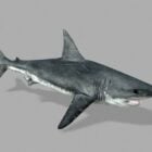 Ocean Shark Realistic