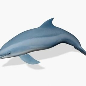 Modelo 3d realista de delfín animal.