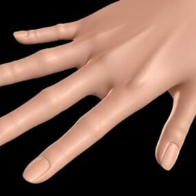 3D model ženské ruky