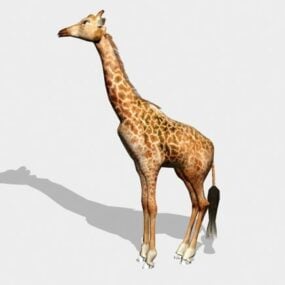 3д модель жирафа