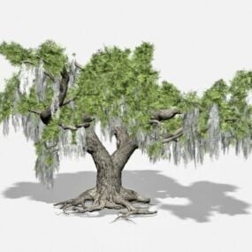 Realistic Broadleaf Tree Collection 3d model