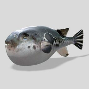 Balon Kirpi Balığı 3d modeli