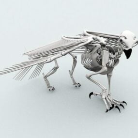 Undead Bird Skeleton 3d-modell