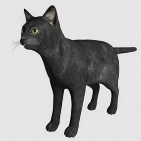 Czarny kot Realistyczny model zwierzęcia 3D