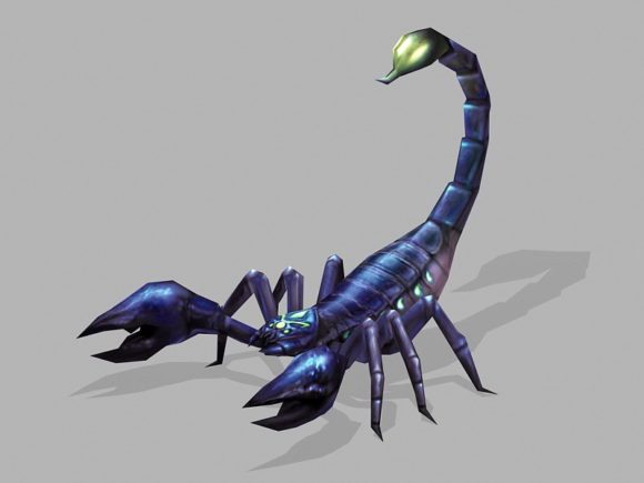 Jungle Scorpion