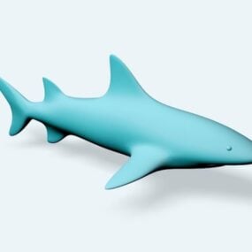 Big Whale 3d model