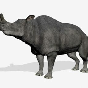 Brontotherium Rhino 3d modell