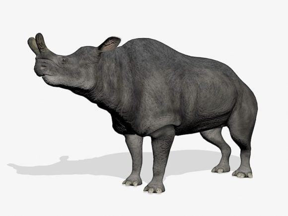 Brontotherium Rhino