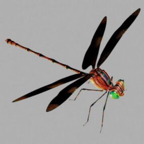 Low Poly Dragonfly 3d model