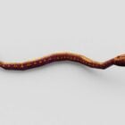 Serpent brun rampant