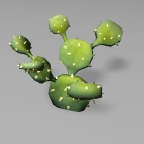Blooming Cactus Indoor Plant 3d model