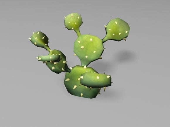 Usine de dessin animé de cactus