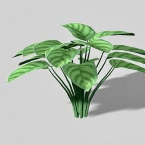 Potted Plant On Wooden Small Table 3d model