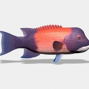 Sea Animal Golden Tropical Fish 3d model