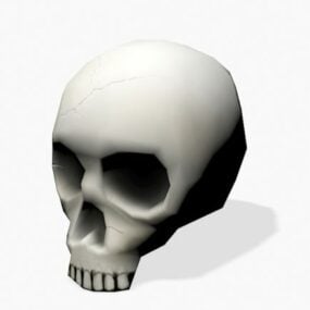 Cartoon Skull 3d model