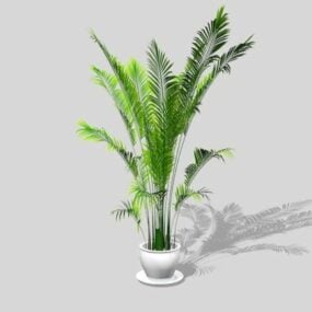 Small Plant In Grass Floor 3d model