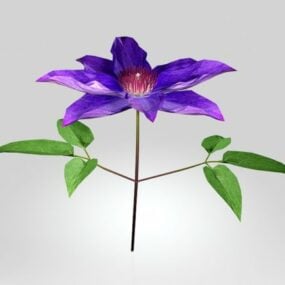 クレマチスの花3Dモデル