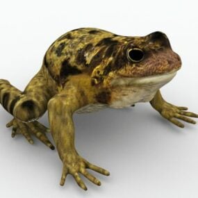 3д модель садовой лягушки-жабы