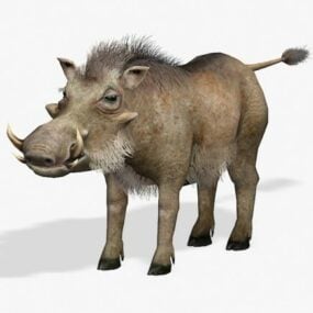 Warthog Boar 3d-modell