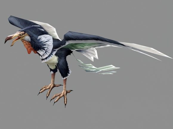 Realistic Condor Bird