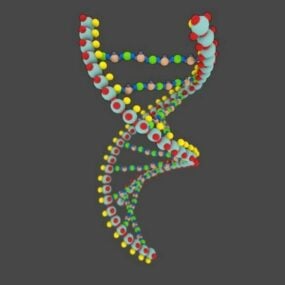 מודל תלת מימד של מולקולת DNA