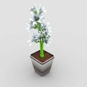 Potted White Lily Flower 3d model
