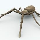 Wild Desert Spider