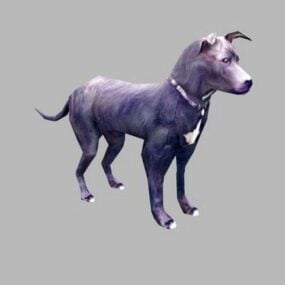 Modello 3d realistico del cane Dobermann