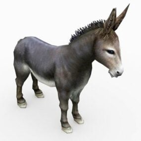 Realistic Donkey Animal 3d model