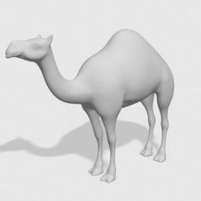 Dromedar-Kamel-Tier-3D-Modell