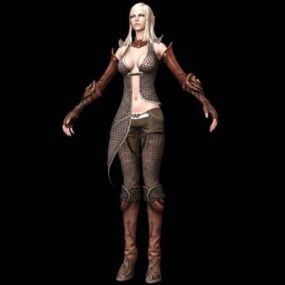 Female Elf Assassin 3d model